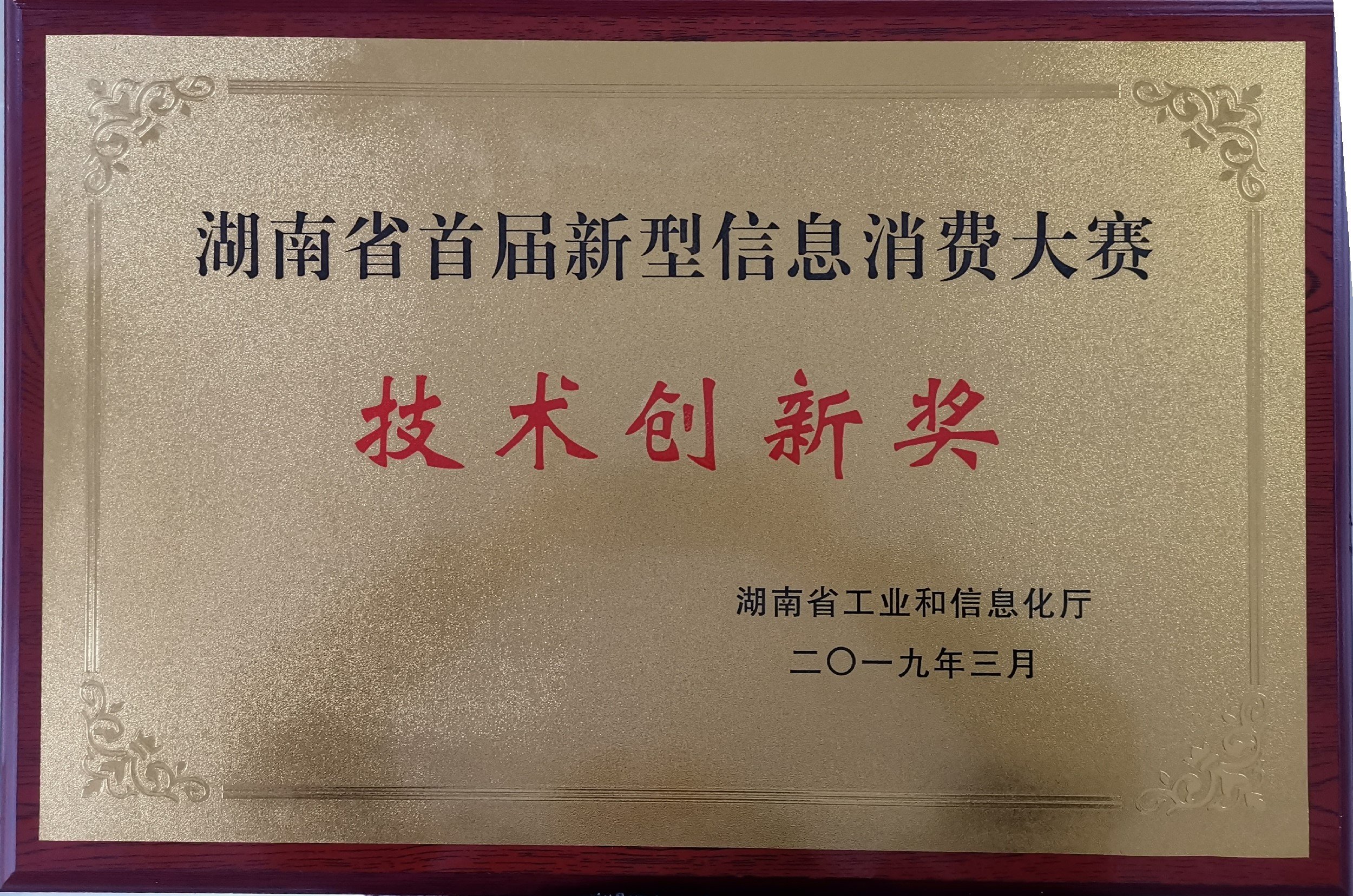 湖南省新型信息消费大赛