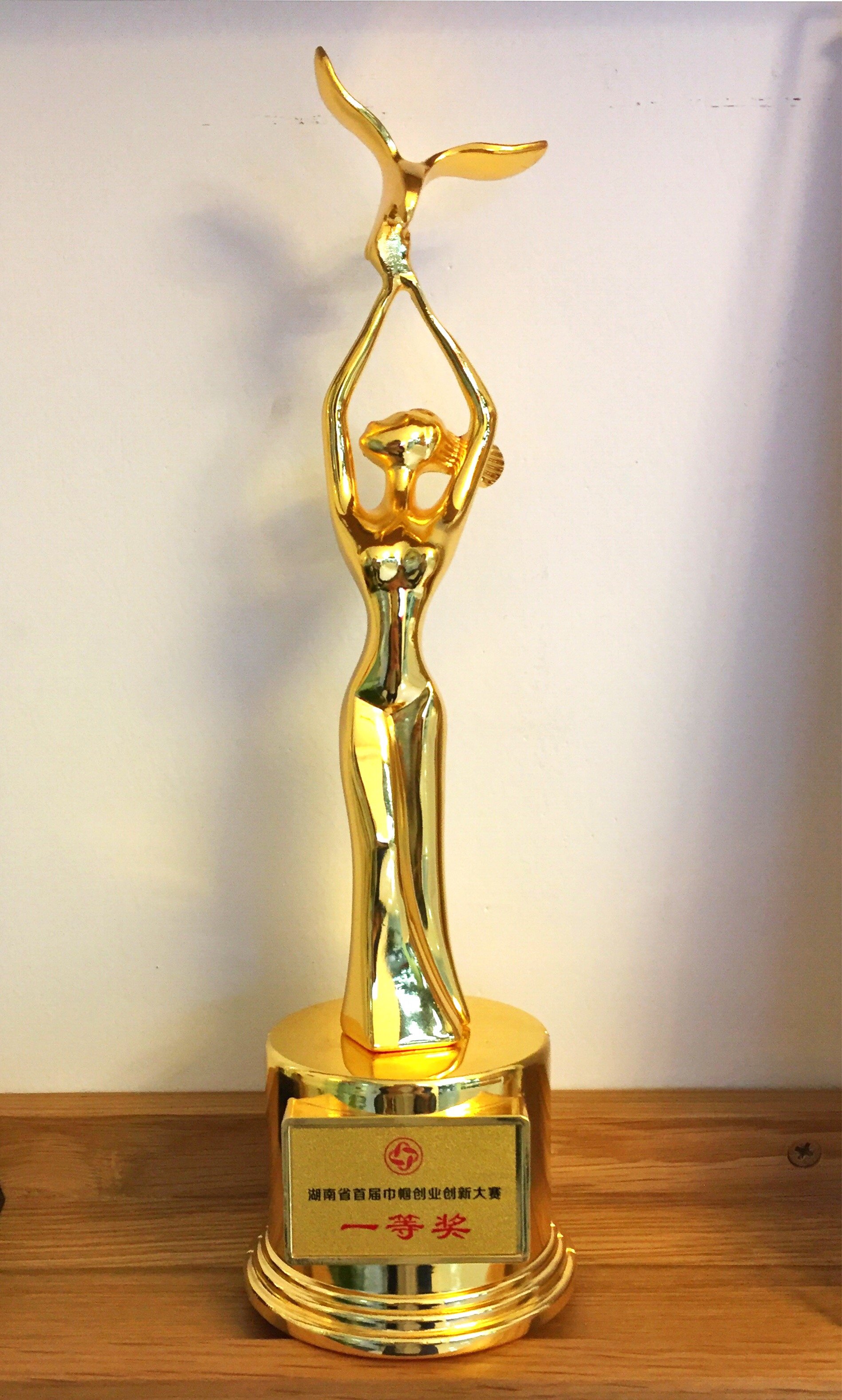 湖南省首届巾帼创业创新大赛