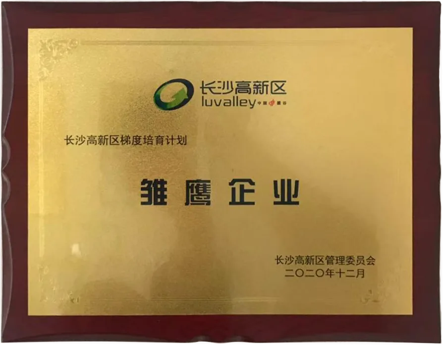 雏鹰企业